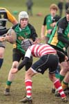 IMG_6686