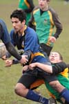 IMG_6863