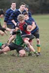 IMG_6974