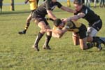IMG_7229