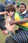 IMG_8482