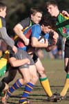 IMG_9433