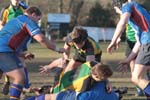 IMG_9762
