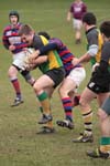 IMG_9849