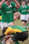 IMG_0235