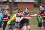 IMG_0451