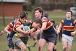 IMG_0453