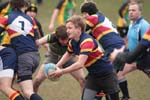 IMG_0619