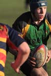 IMG_0911