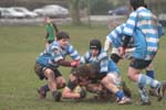 IMG_1211
