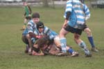 IMG_1212