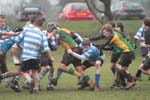IMG_1259