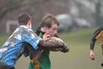 IMG_1387
