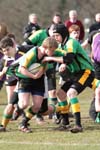 IMG_2705