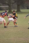 IMG_3519