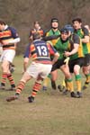 IMG_3536