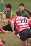 IMG_3426