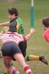 IMG_3427