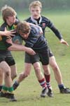 IMG_4055