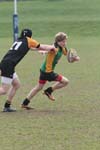 IMG_4221