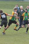 IMG_4229