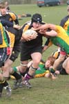 IMG_4348