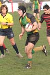 IMG_4548