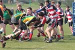 IMG_4860