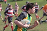 IMG_4913