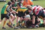 IMG_5033