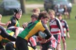 IMG_5037