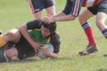 IMG_5053