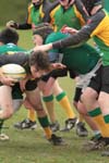 IMG_6053