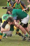 IMG_6054