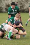 IMG_6072
