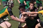 IMG_6919