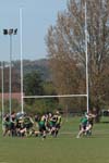 IMG_7101