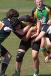 IMG_7140