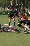 IMG_7146