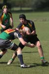 IMG_7156