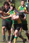 IMG_7202
