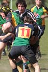 IMG_7206