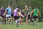 IMG_7253