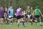 IMG_7254