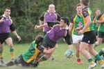 IMG_7305
