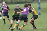 IMG_7341