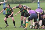 IMG_7346