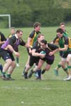 IMG_7456