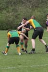 IMG_7586