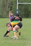IMG_7598